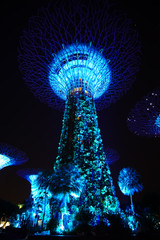 The tree of light at night in the Garden by the Bay