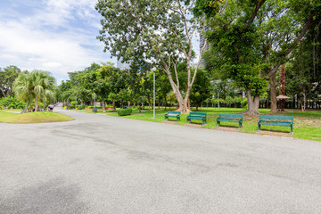 View of the nature park path on a bright day for tourists.