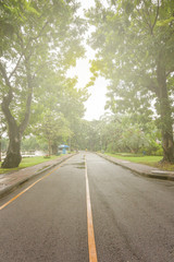 View of beautiful natural gardens In the city in the evening