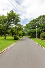 View of the nature park path on a bright day for tourists.