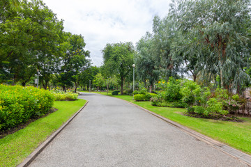 View of the nature park path on a bright day for tourists.