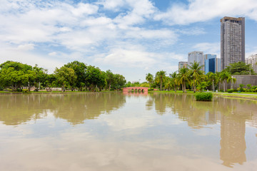 Natural garden view Of Jatujak Park In the bright city of Bangkok