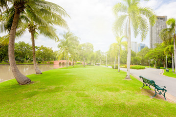 View of city park with exercise path surrounded by nature