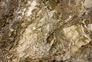 Obraz na płótnie Canvas a close-up of a granite boulder found in kings canyon national park