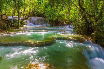 Fototapeta na wymiar Tad Kwang Sri Waterfall , Luang Prabang Province Laos these waterfalls are a favorite side trip for tourists in Luang Prabang. The falls begin in shallow pools atop a steep hillside. P