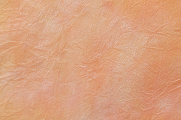 和紙のテクスチャー