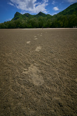 footprints on sand beach and green mountain with blue sky