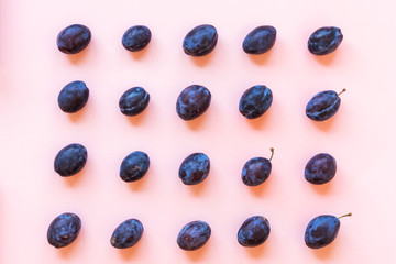 Plum fruits in rows on a pink background, top view
