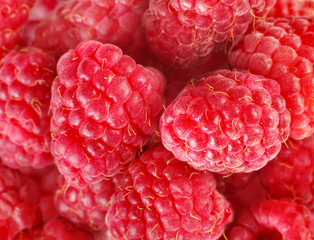 Fresh and sweet raspberries background - big great ripe raspberries
