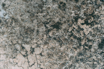 Textured and Background Grunge Concrete wall or dirty Cement floor, Concrete dirty with moldy.