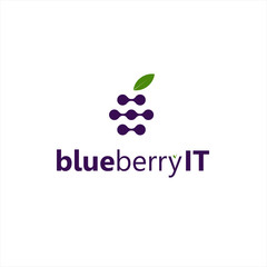Blueberry Logo Design Inspiration Idea and Concept