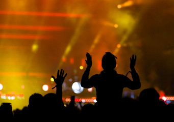 Silhouettes of people at a rock concert as background