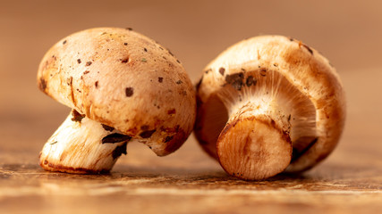 Mushrooms collected in the forest on the table