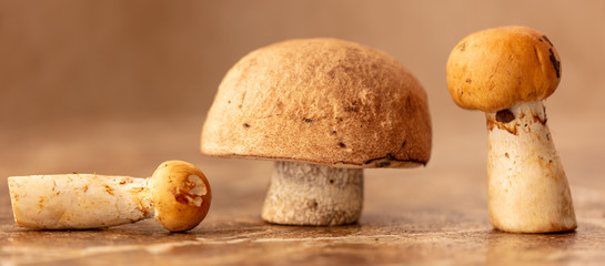 Mushrooms collected in the forest on the table