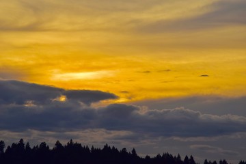 Oak Savannah Sunsets