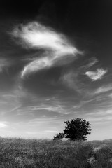 Obraz premium Field over an hill ,tree and deep sky with clouds