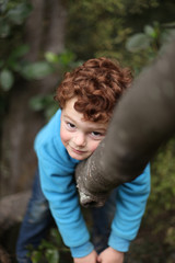 Boy up a tree