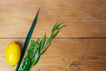 Symbols of jewish fall festival of Sukkot, lulav - etrog, palm branch, myrtle and willow © Alrandir