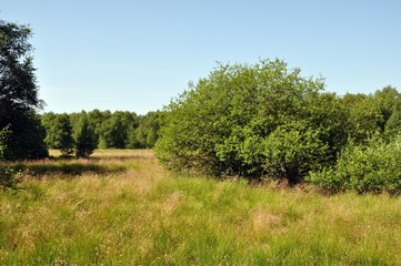Obraz premium Das schwarze Moor bei Poppenhausen