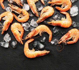 Shrimps as a food background