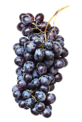 Bunch of blue grapes