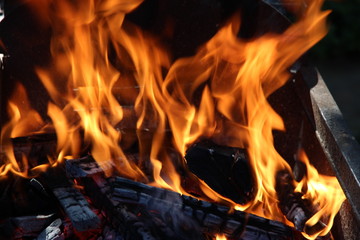 Bonfire, open fire, bright hot flames, burning wood, fire dance