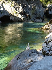 steinmann am soca fluss in slowenien