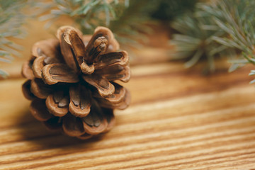 Fir tree branch on wooden background close up