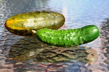 two cucumbers on a glass table. Macro. nutrition. food. eco-products in farm. Organic. Vegetarian. Health life