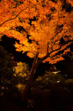 須磨区 Images Browse 300 Stock Photos Vectors And Video Adobe Stock
