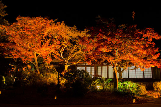 286 Best 須磨区 Images Stock Photos Vectors Adobe Stock