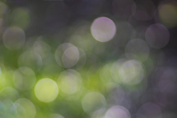 Obraz premium Nature sunny abstract summer background with sun and bokeh. Autumnal natural background blurring with sun rays. 