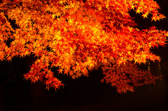 286 Best 須磨区 Images Stock Photos Vectors Adobe Stock