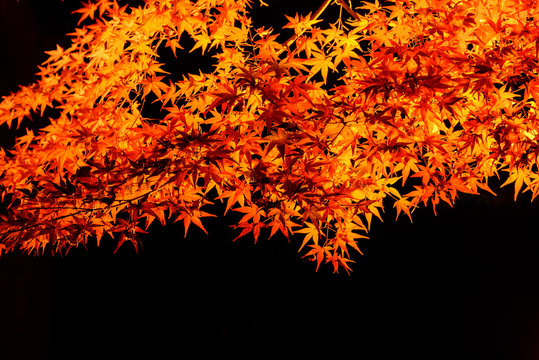 須磨区 Images Browse 300 Stock Photos Vectors And Video Adobe Stock