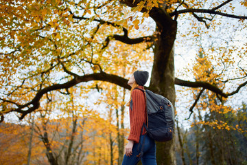 man in the forest