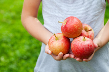 Red organic apple in little girl's hands. Summer garden background. Copy space.