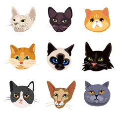 cats heads. Set of breeds of cat print from faces. cute animals, cute vector illustration