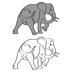 Elephant cartoon isolated on white. African bush or forest elephant and Asian elephant