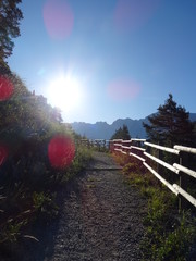 wanderpfad in der sonne mit bergen im hintergrund