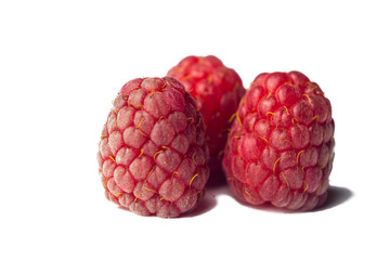 red raspberry berries close-up isolated on a white background. sweet summer medicinal berries macro details
