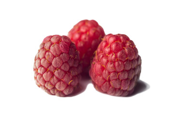 red raspberry berries close-up isolated on a white background. sweet summer medicinal berries macro details