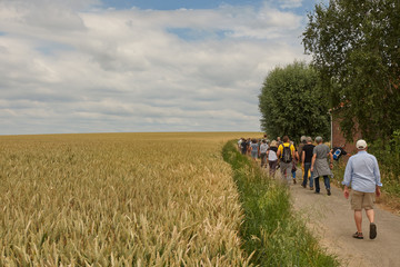 Group of people walking and enjoying nature and countryside in Flanders Belgium