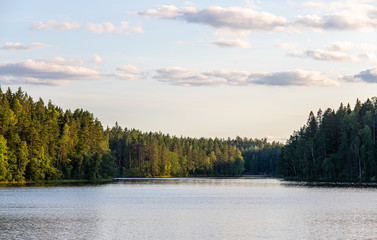 Fototapeta premium evening on lake