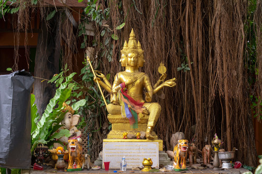 Four faced god (phra phrom) under banyan tree, Chiang Mai, Thailand