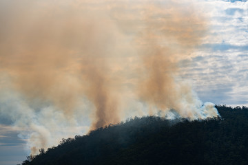 Backburning on the Knocklofty Reserve in Hobart, Tasmania