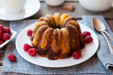 Chocolate marble bundt cake with raspberry on white plate. Close up.