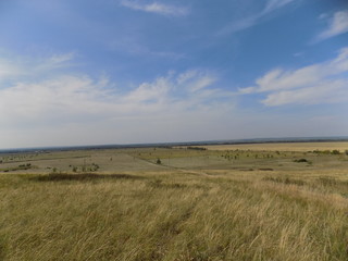 Summer. Fields, grass, meadows. High blue summer sky. Beautiful summer landscape.