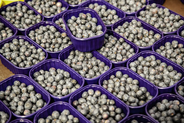 Blueberries in a market