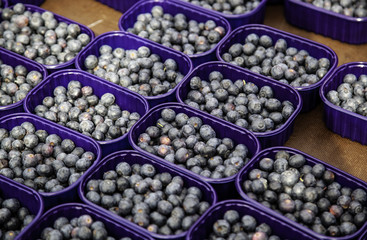 Blueberries in a market