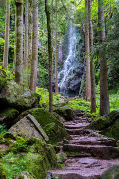 Germany, Magical mystic stone steps to natural burgbachwasserfall a beautiful waterfall in the black forest nature landscape
